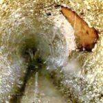 ... entretenir et nettoyer vos décharges...